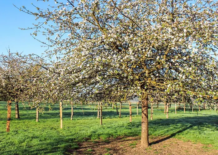 Le Verger By Interhome Corbon (Calvados)